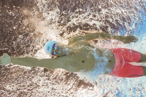 九游官网pc-世界马术锦标赛中国选手夺得佳绩，进入前十，马术全国锦标赛