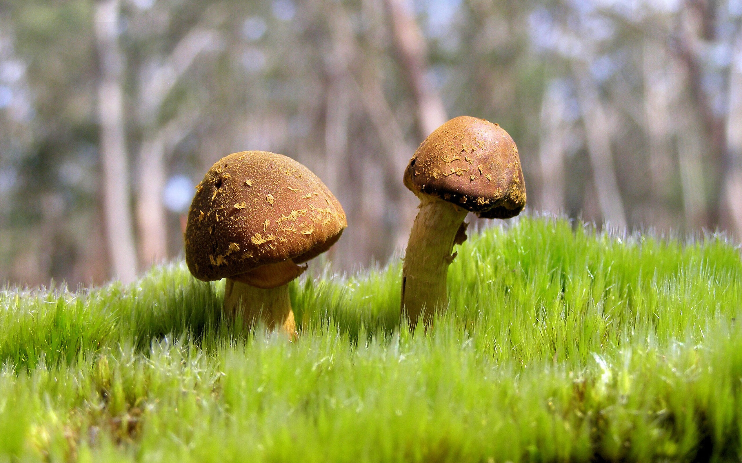 勇士再现冠军气质库里引爆主场,勇士库里经典比赛视频全程