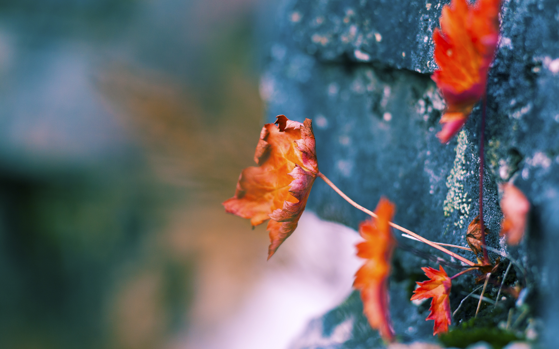 体育新闻中心发布青少年运动发展报告，青少年运动现状