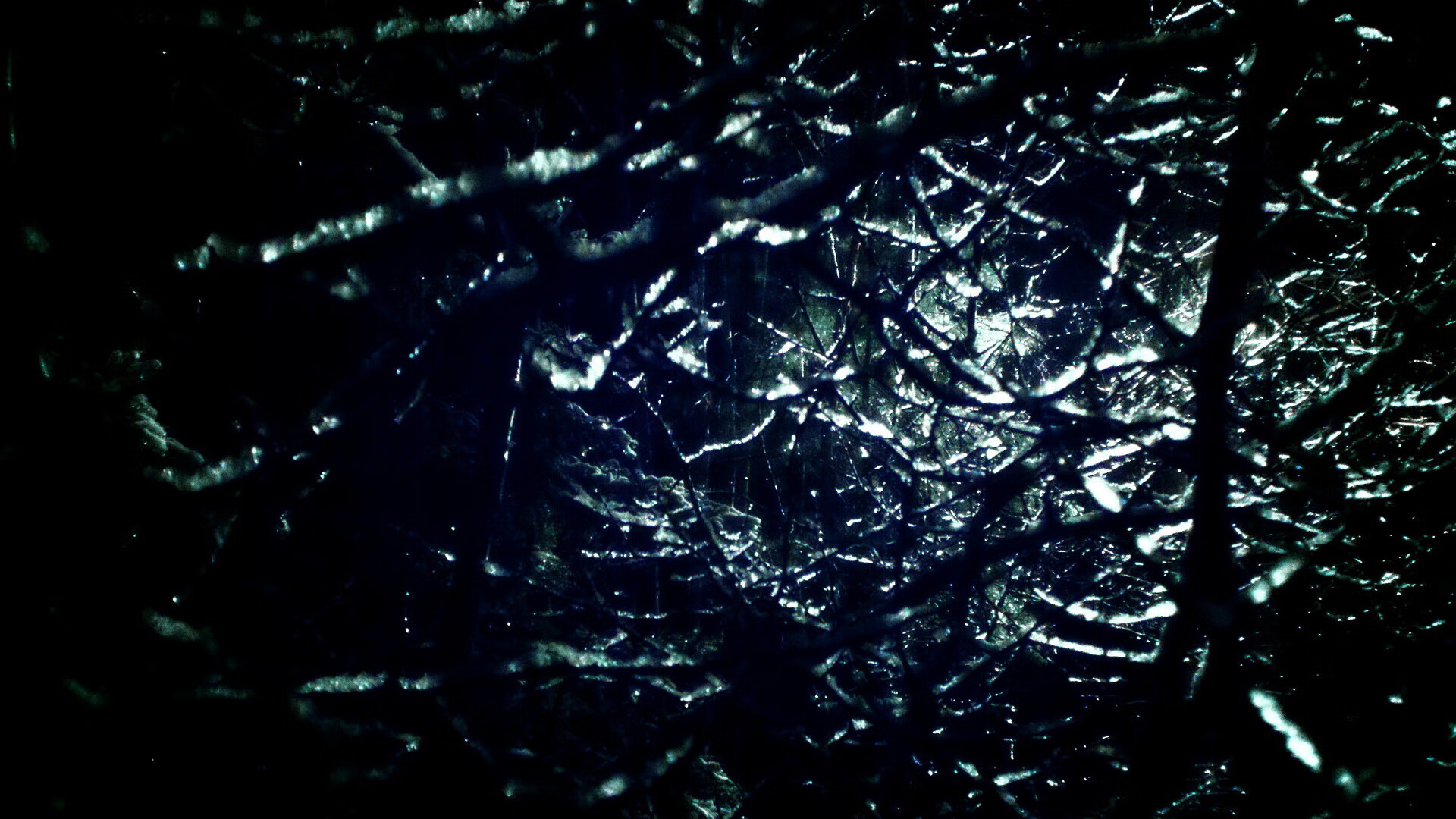 杨瀚森逐渐成为全队攻防转换的关键枢纽，杨瀚宇是谁