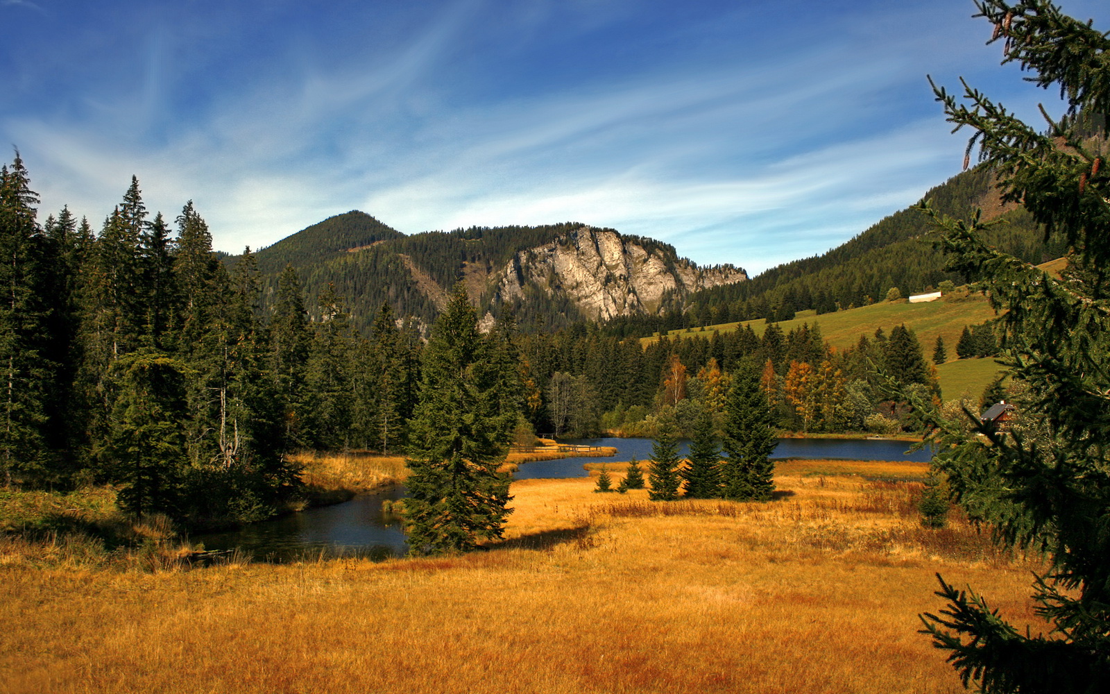 J9九游会-球队防守型中场是否更适合关键战逆风局安排，防守型中场百度百科