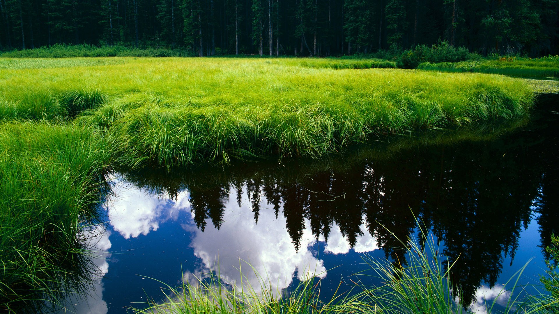 田径国家队教练团队实现多项目协作交流，田径国家队训练