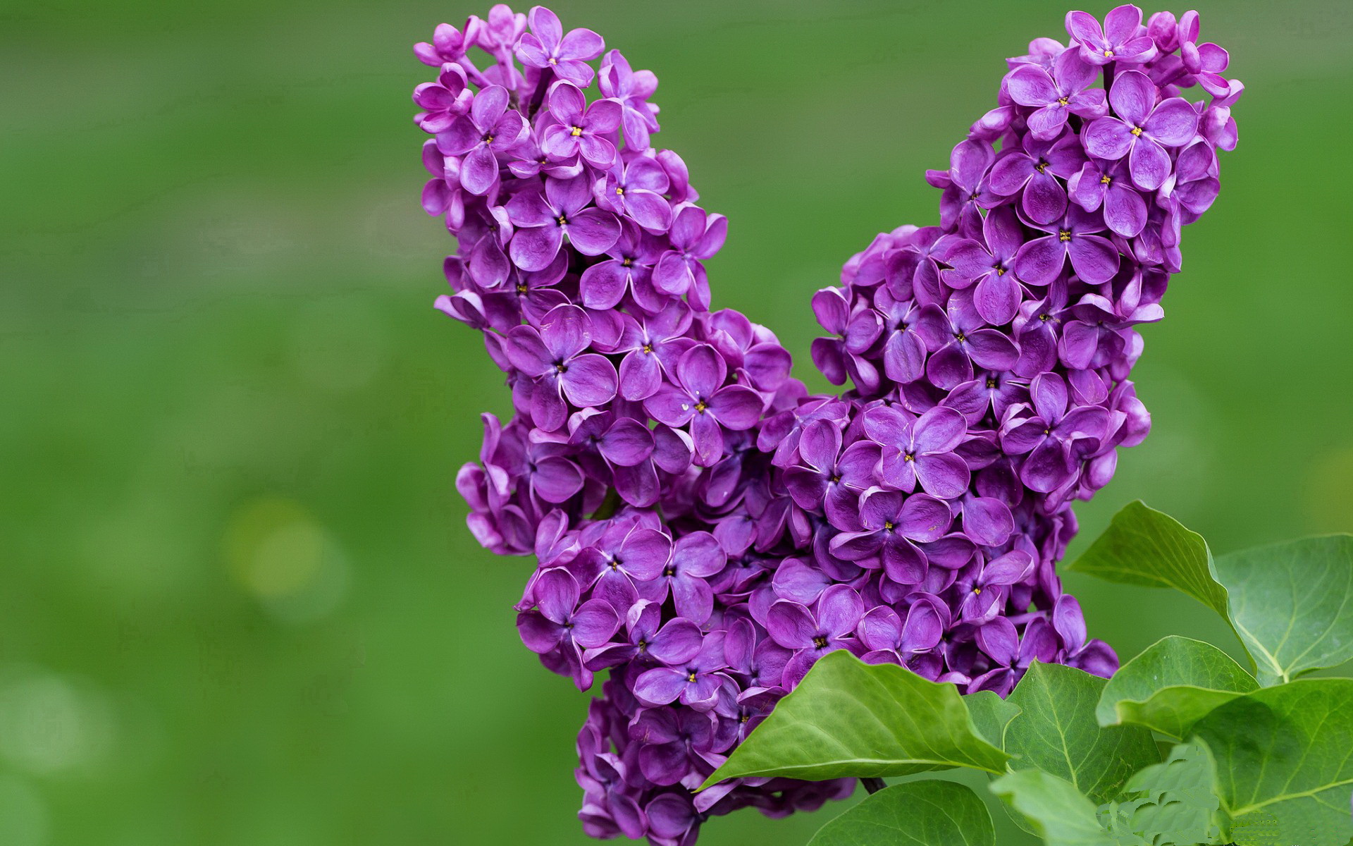 校园足球推广计划深入推进，青少年热情高涨，校园足球的推广