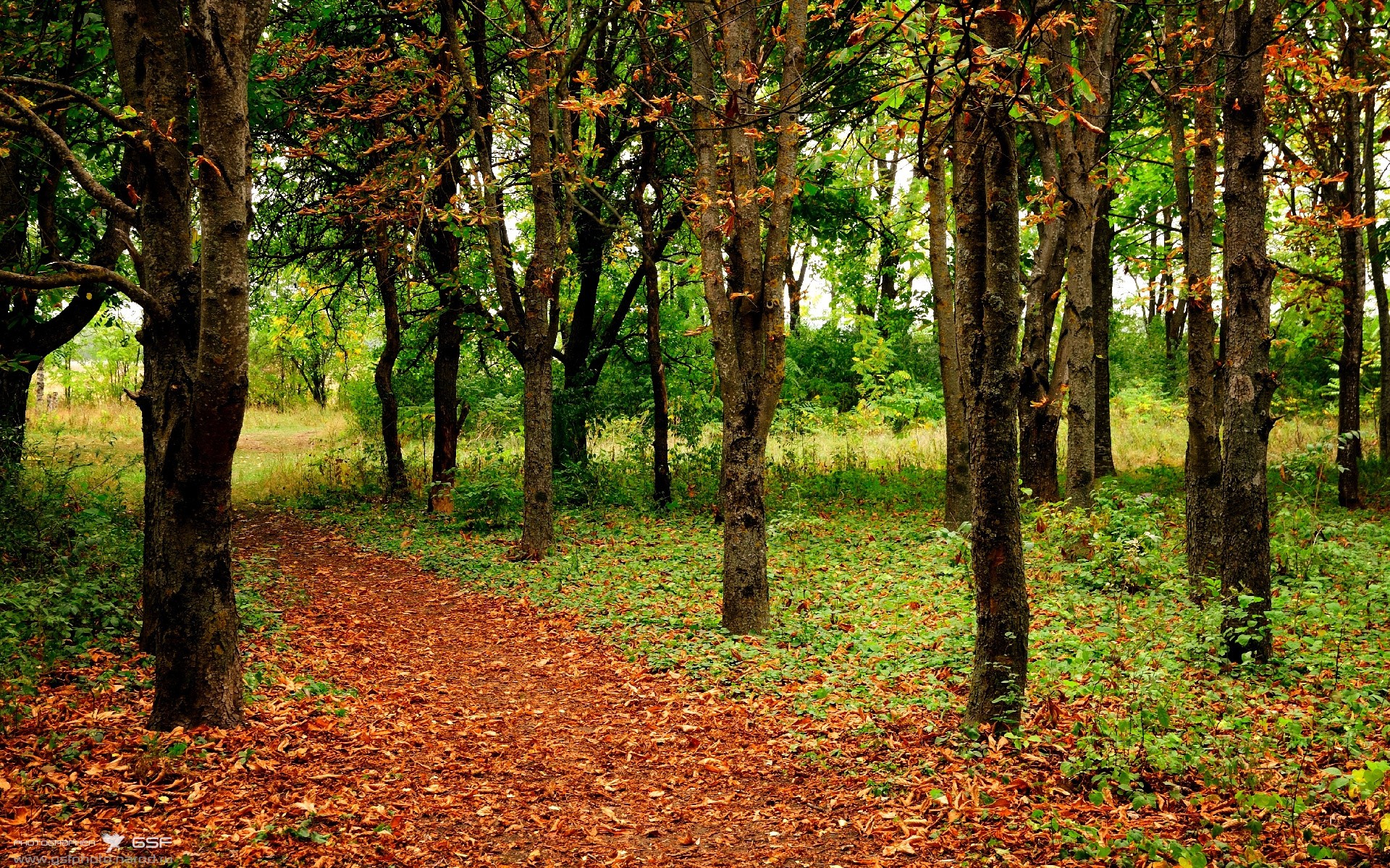比利时男篮在欧洲预赛中拼搏到底,向奥运奖牌发起冲击,比利时男篮国家队
