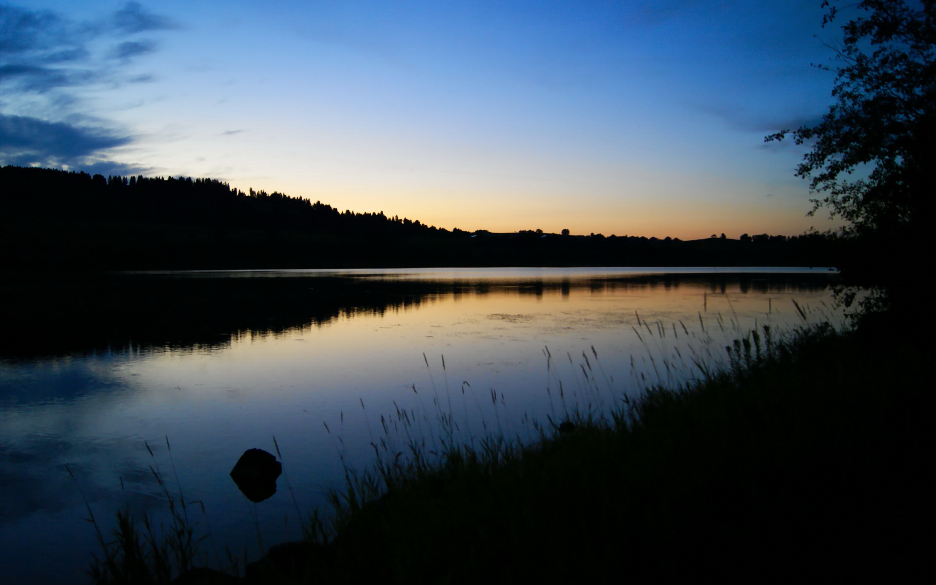 浓眉在篮下连续得分成为湖人胜利保障，浓眉缺席湖人战绩