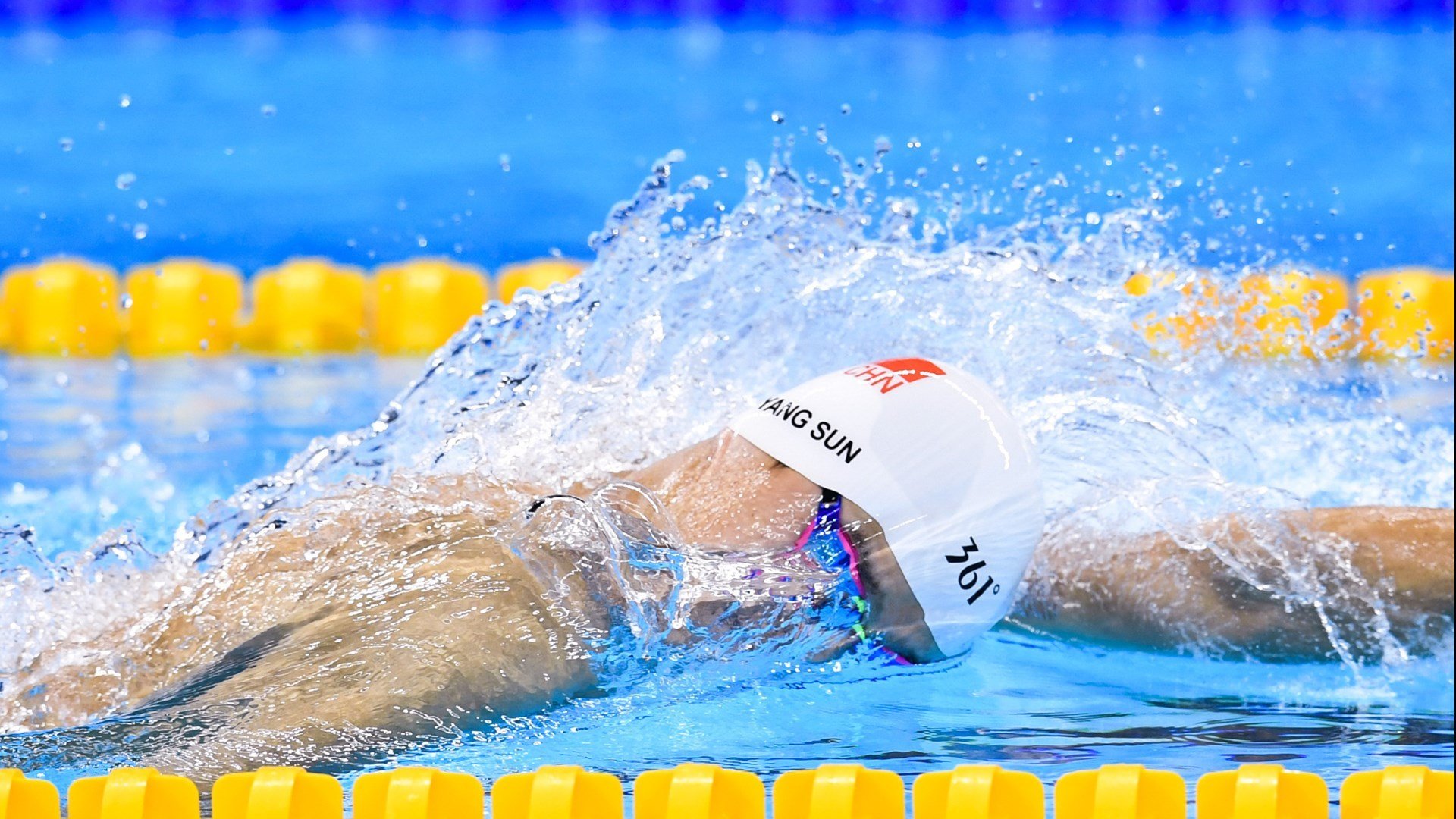 特色“绿色+智慧”行业项目在行业中成为行业绿色转型的标杆，基础设施不断升级